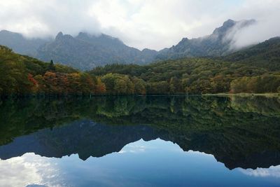 Reflection of trees in lake