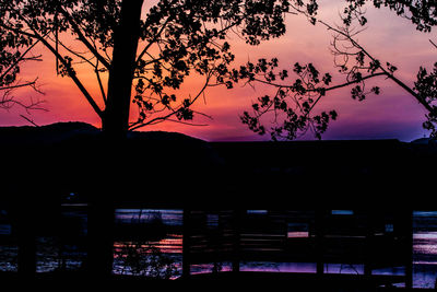 Silhouette trees against sky during sunset