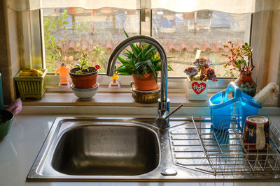 Potted plants on window sill at home