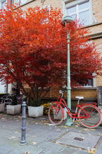 Bicycle parked on street by tree during autumn