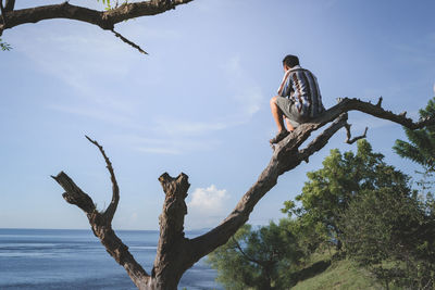 Low angle view of man sitting on tree against sky