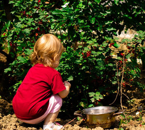 The child is sitting with his back near a bush. the girl tears currants into a pot.
