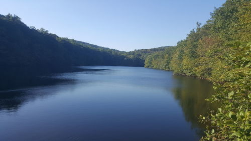 Scenic view of river in forest against clear sky