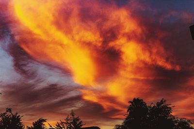 Low angle view of tree against dramatic sky