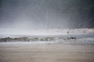 Distance shot of man walking on calm beach