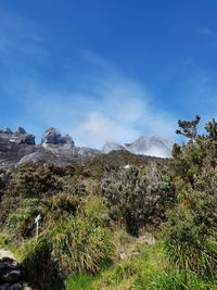 Scenic view of landscape against blue sky