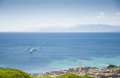Sailboat sailing on sea against sky