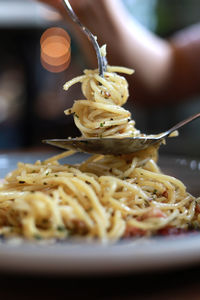 Close-up of meal served in plate