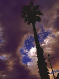 Low angle view of silhouette palm trees against sky at sunset