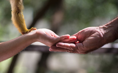 Close-up of couple holding hands