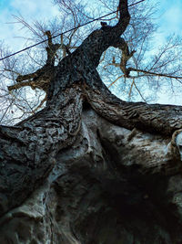 Low angle view of bare tree against sky