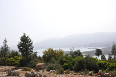 Scenic view of landscape against clear sky