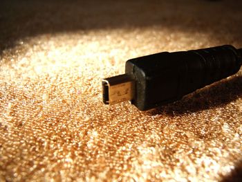 Close-up of surface level of ground