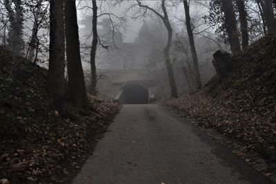 Road amidst trees in forest