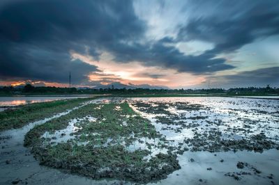 Scenic view of sea against sky during sunset