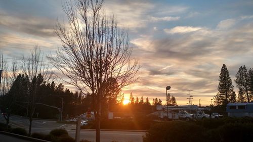 Silhouette of trees at sunset