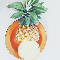 Directly above shot of fruit on table against white background