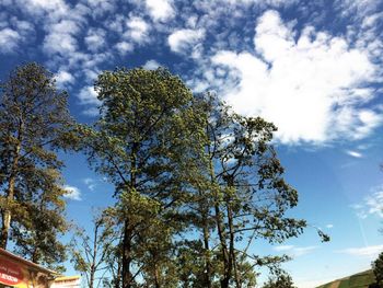 Low angle view of trees against cloudy sky