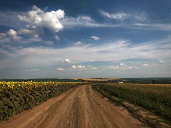 Dirt road amidst agricultural field against sky