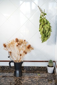 Close-up of potted plant on table