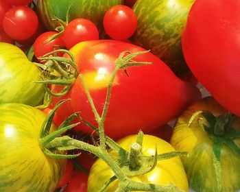 Full frame shot of tomatoes