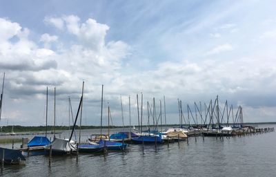 Sailboats moored in harbor