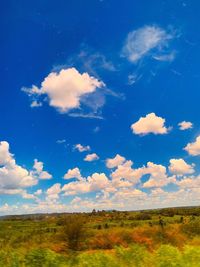 Scenic view of field against blue sky