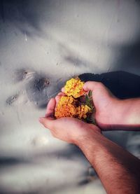 Close-up of hands holding yellow flowers