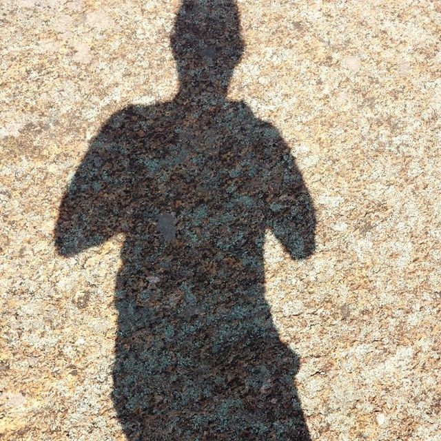 shadow, high angle view, focus on shadow, sunlight, day, outdoors, unrecognizable person, ground, street, one animal, animal themes, field, close-up, standing, nature, sunny, sand, asphalt