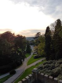 Trees on landscape against cloudy sky