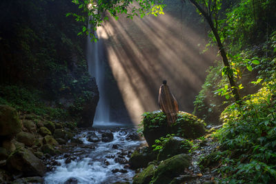 Scenic view of waterfall in forest