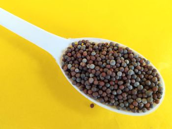 High angle view of eggs in container on table