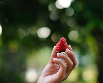 Close-up of hand holding strawberry