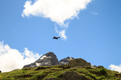 Low angle view of airplane flying in sky