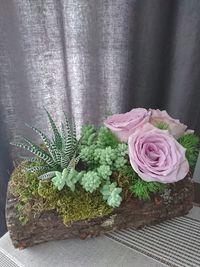 Close-up of potted plant