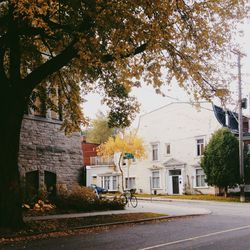 Road along buildings