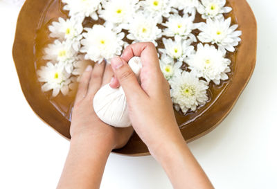 Close-up of woman holding daisy flowers