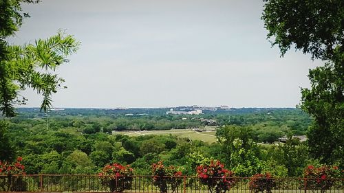 Scenic view of flowering plants and trees against sky