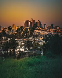 Trees and buildings against sky during sunset