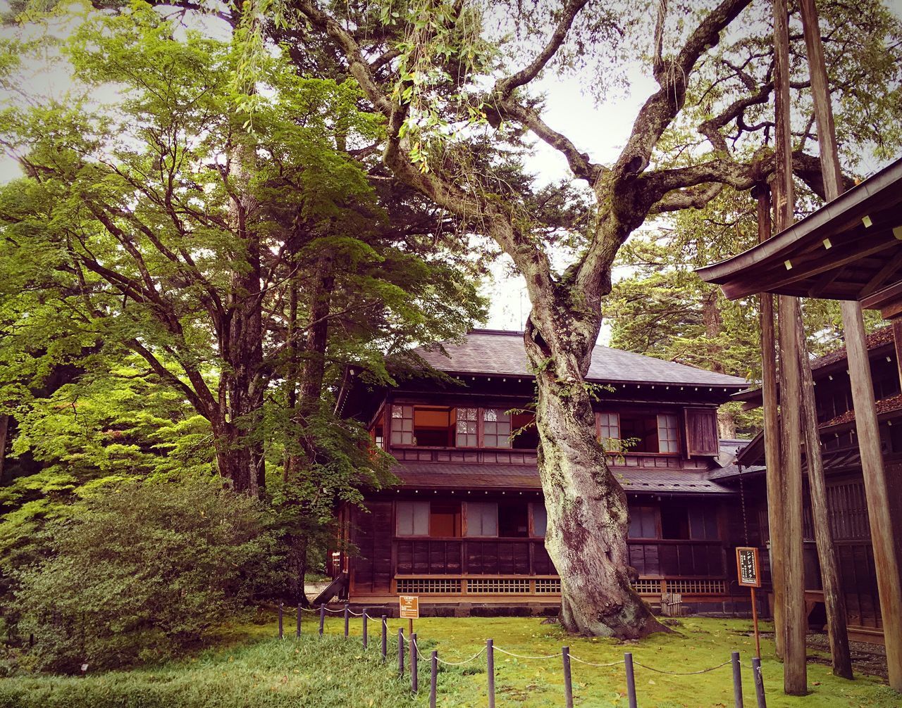 TREES IN FRONT OF HOUSE