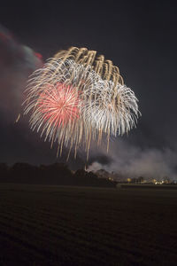 Low angle view of firework display at night