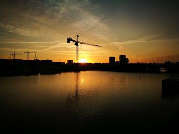 Silhouette of cranes at sunset