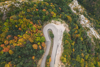 Aerial view of a winding road from a high mountain pass through a dense colorful autumn forest.