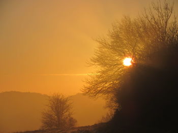 Silhouette trees against orange sky