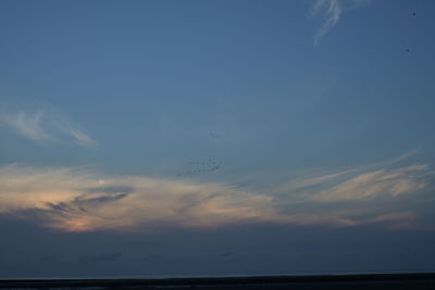 Low angle view of birds flying in sky