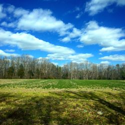 Scenic view of grassy field against cloudy sky