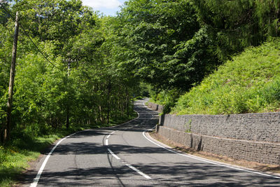 Empty road amidst trees in forest