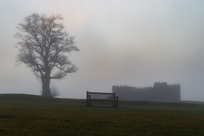 Trees on field against sky during foggy weather