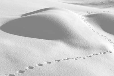 High angle view of footprints on snow covered land