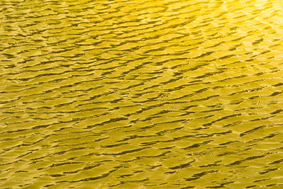 Full frame shot of yellow water on sand